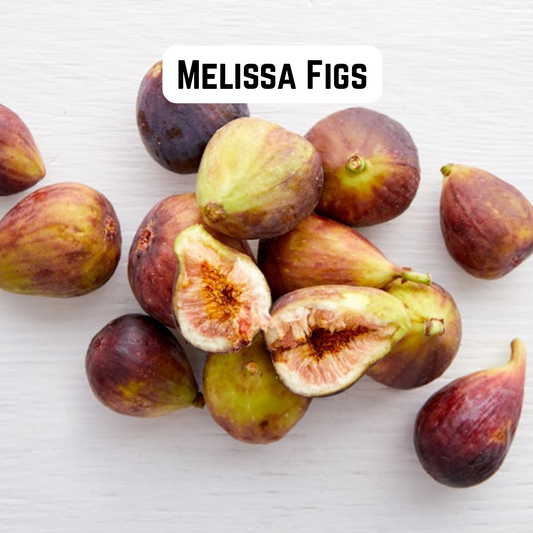 Melissa Figs