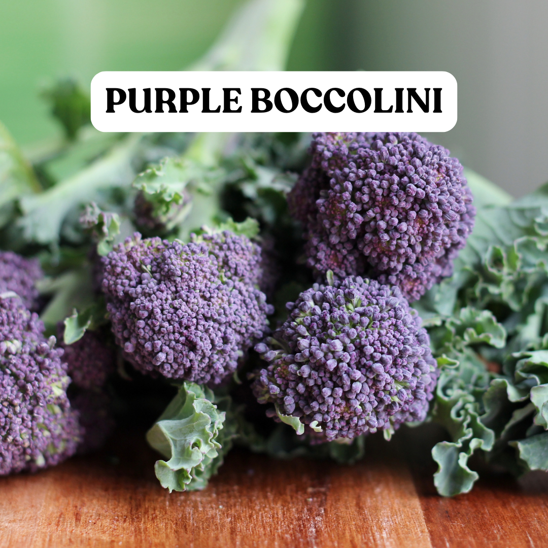 Purple Broccolini