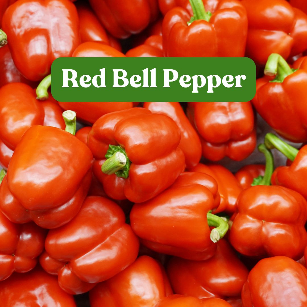 Red Bell Pepper