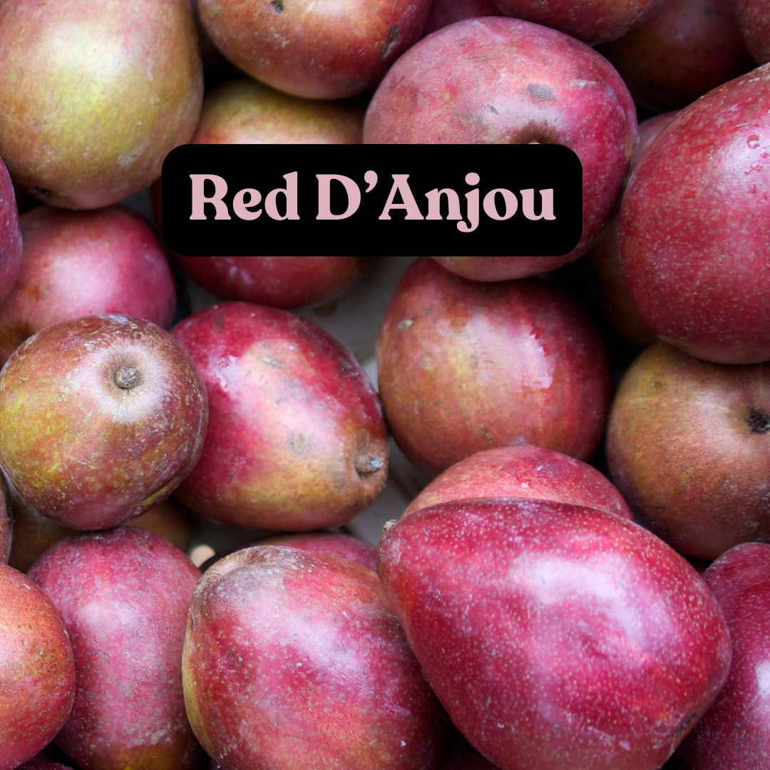 Red Bartlett Pear