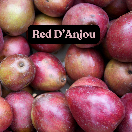 Red Bartlett Pear