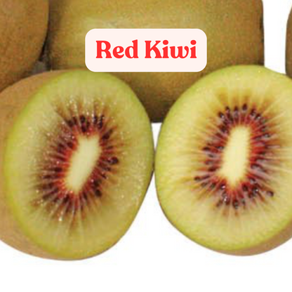 Red Kiwi