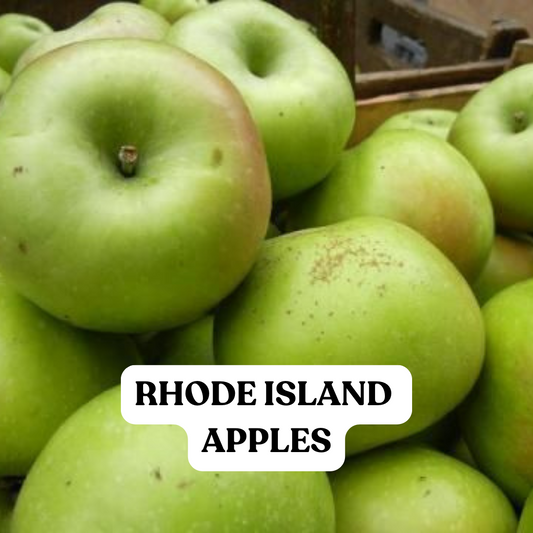 Rhode Island Greening apples