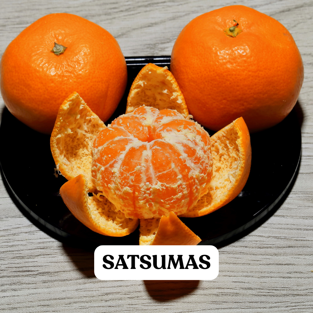Satsumas (1lb)