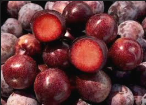 Honey Punch pluots