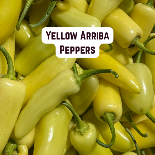 Yellow Arriba Peppers