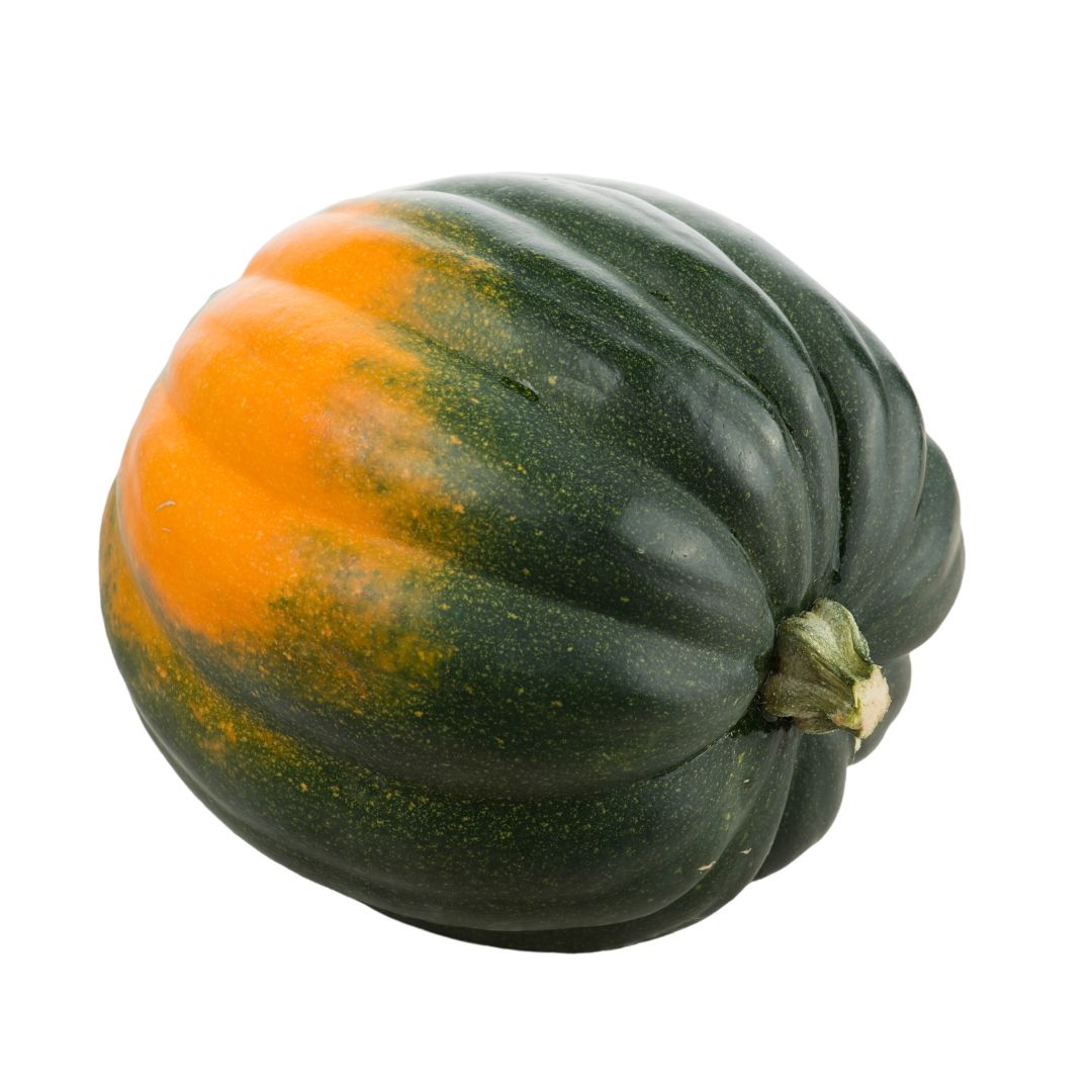 organic acorn squash