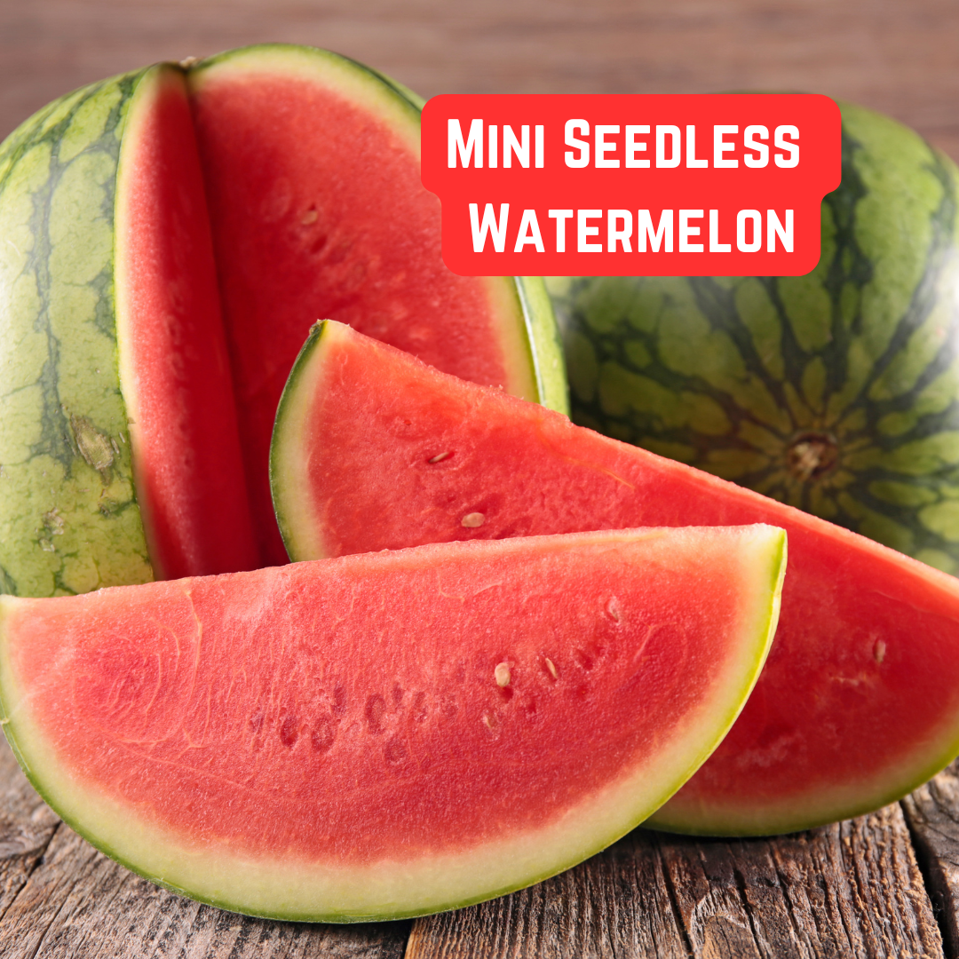 Mini Seedless Watermelon
