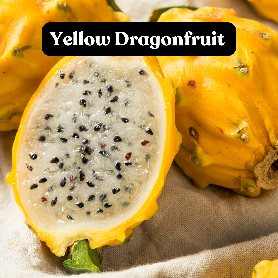 Yellow Dragonfruit