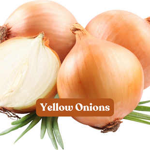 Yellow Onion (1lb)