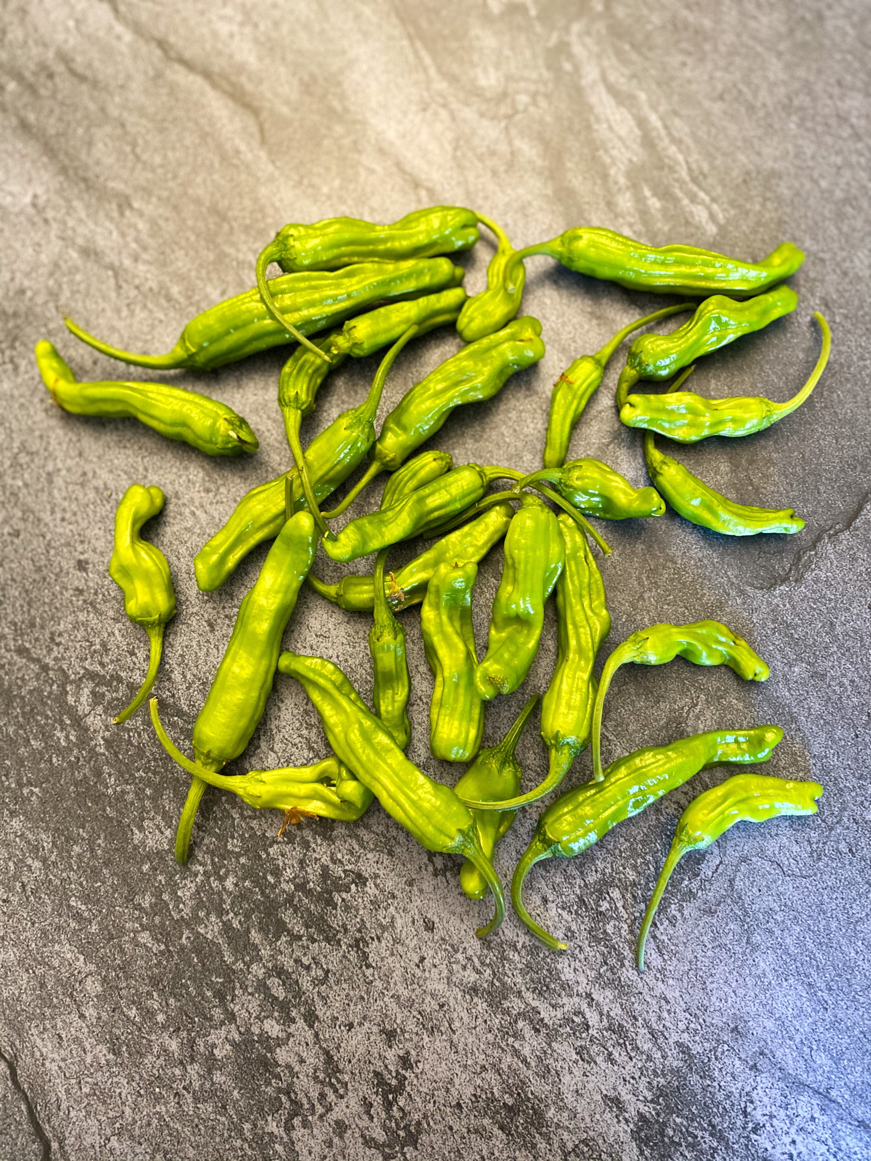 Shishito Peppers