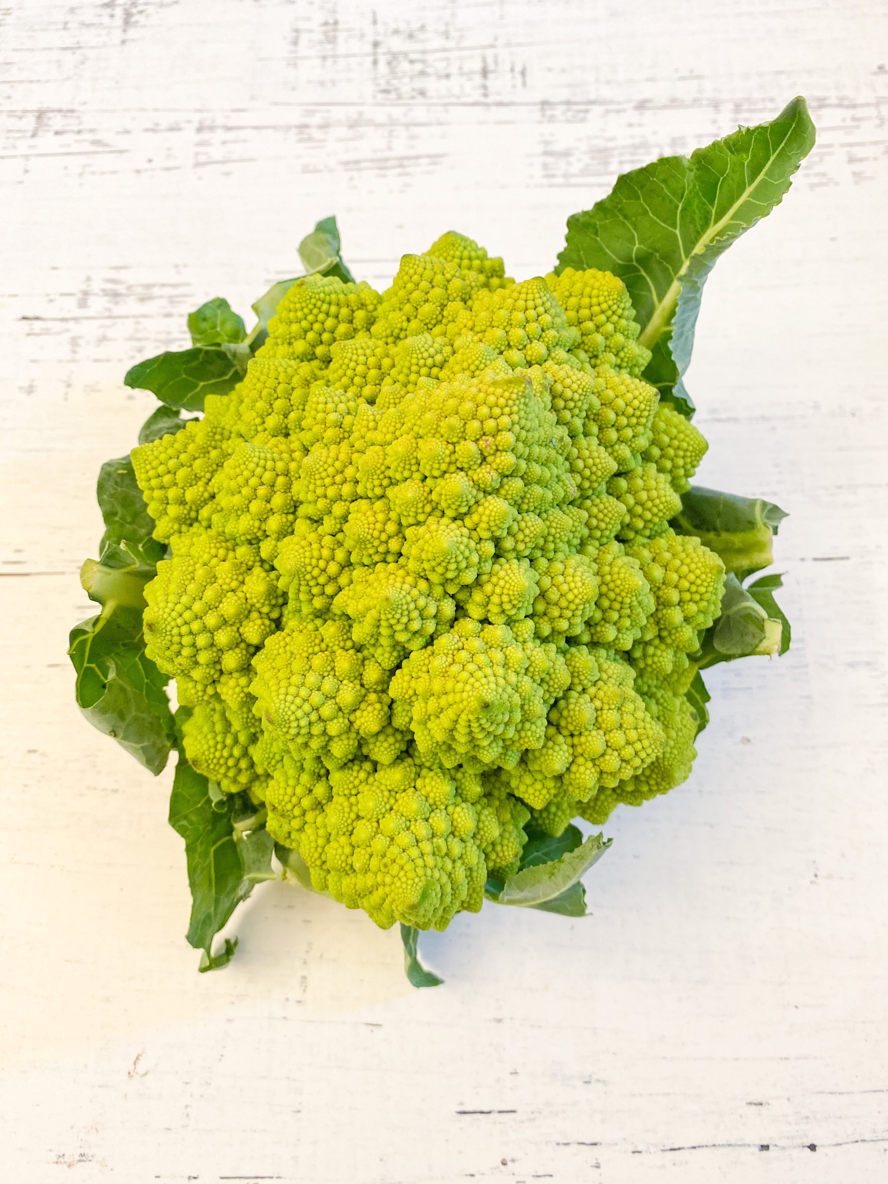 Romanesco
