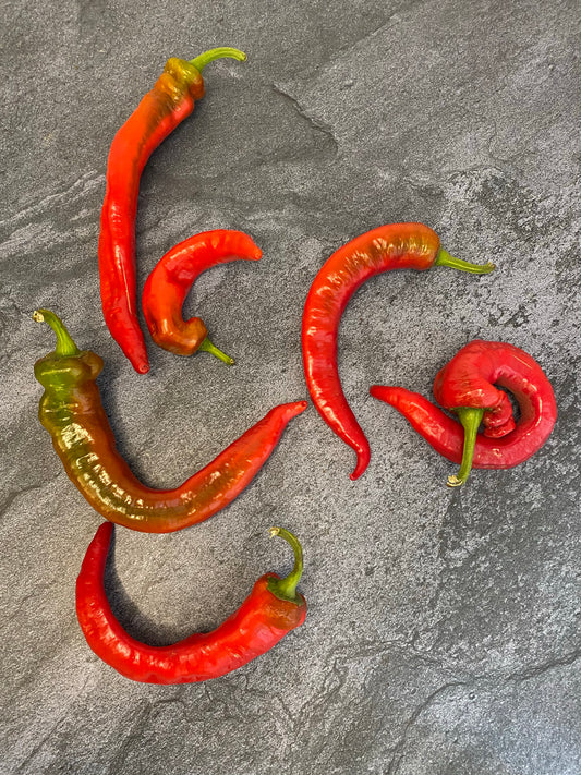 Nardello Pepper