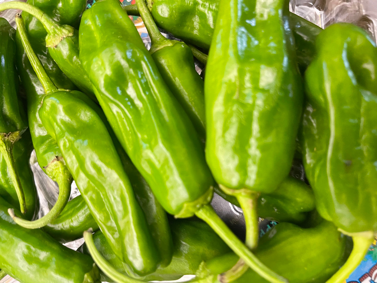 Shishito Peppers
